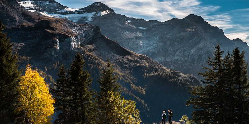 动力设备69:商业能源与工业动力的核心支柱,现代发电机技术全解析