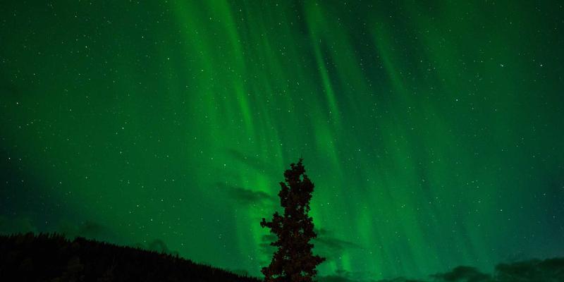 动力设备前景展望：能源转型与工业升级下的新机遇