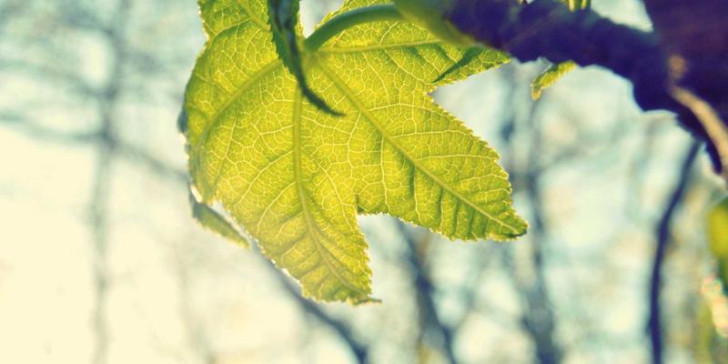 动力设备振动分析与故障预警：传感器部署与算法选择的关键策略