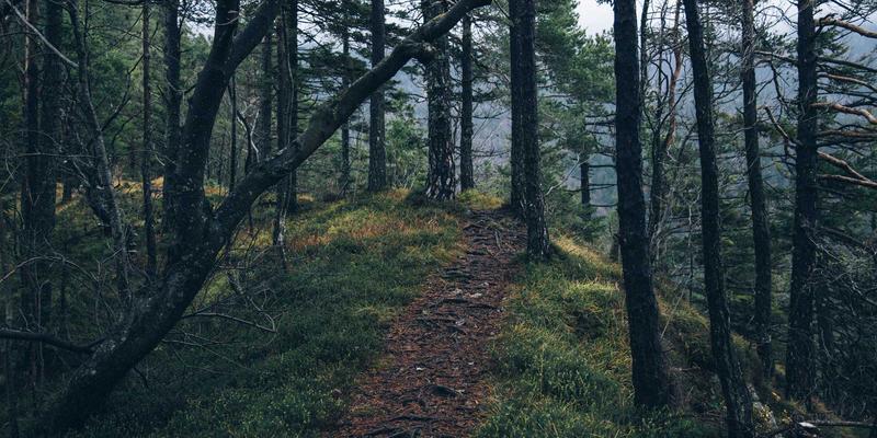 动力设备绿色润滑新纪元：可生物降解润滑油在发动机与太阳能系统中的应用