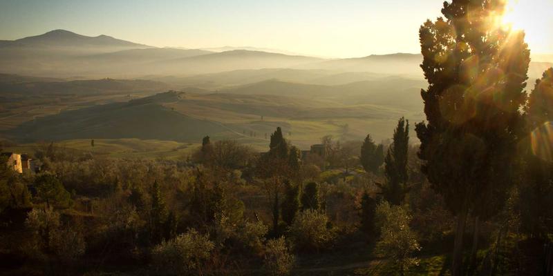 工业动力与商业能源新规解读：发动机能效等级认证如何帮您获得节能补贴