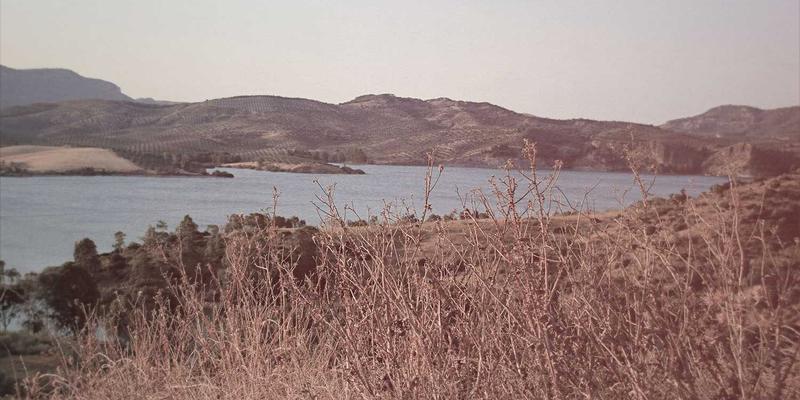 微电网中柴油发电机组与可再生能源的协同控制技术：优化太阳能系统与储能解决方案的关键