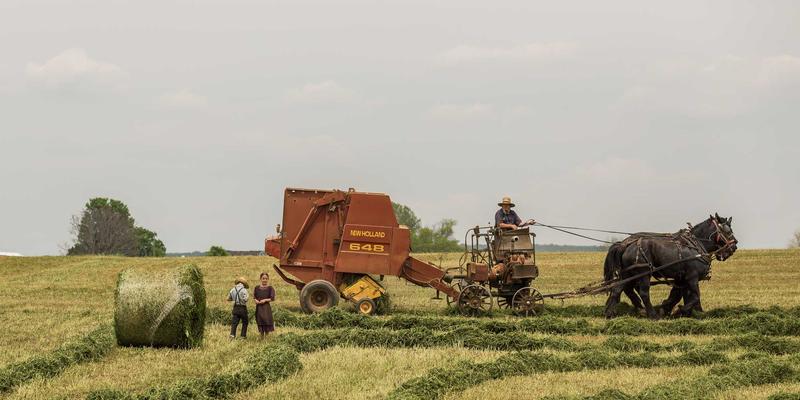 极端气候挑战工业动力：高温高寒对发动机与能源系统的影响及储能解决方案