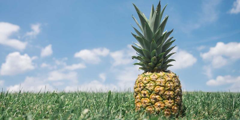 矿山重型机械动力总成深度解析：大功率柴油机与电驱动系统谁主沉浮？