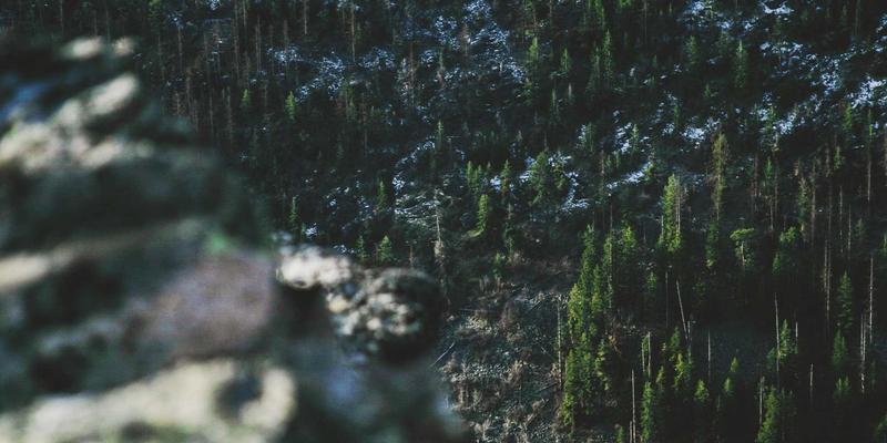 船舶动力系统脱碳路径：从LNG双燃料到氨燃料电池的转型策略与工业动力新格局